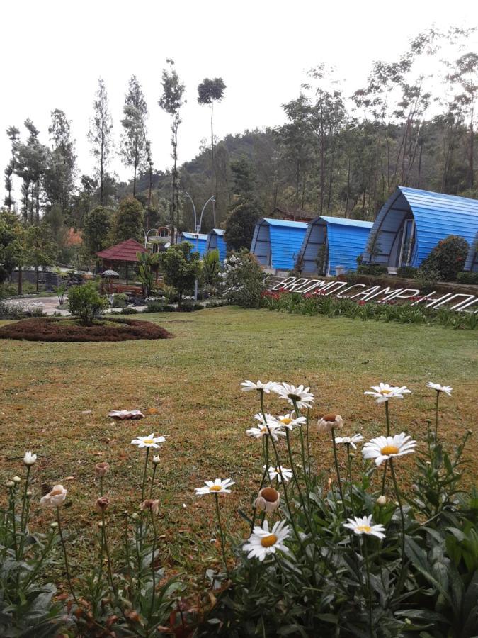 Camp House 4* Bromo