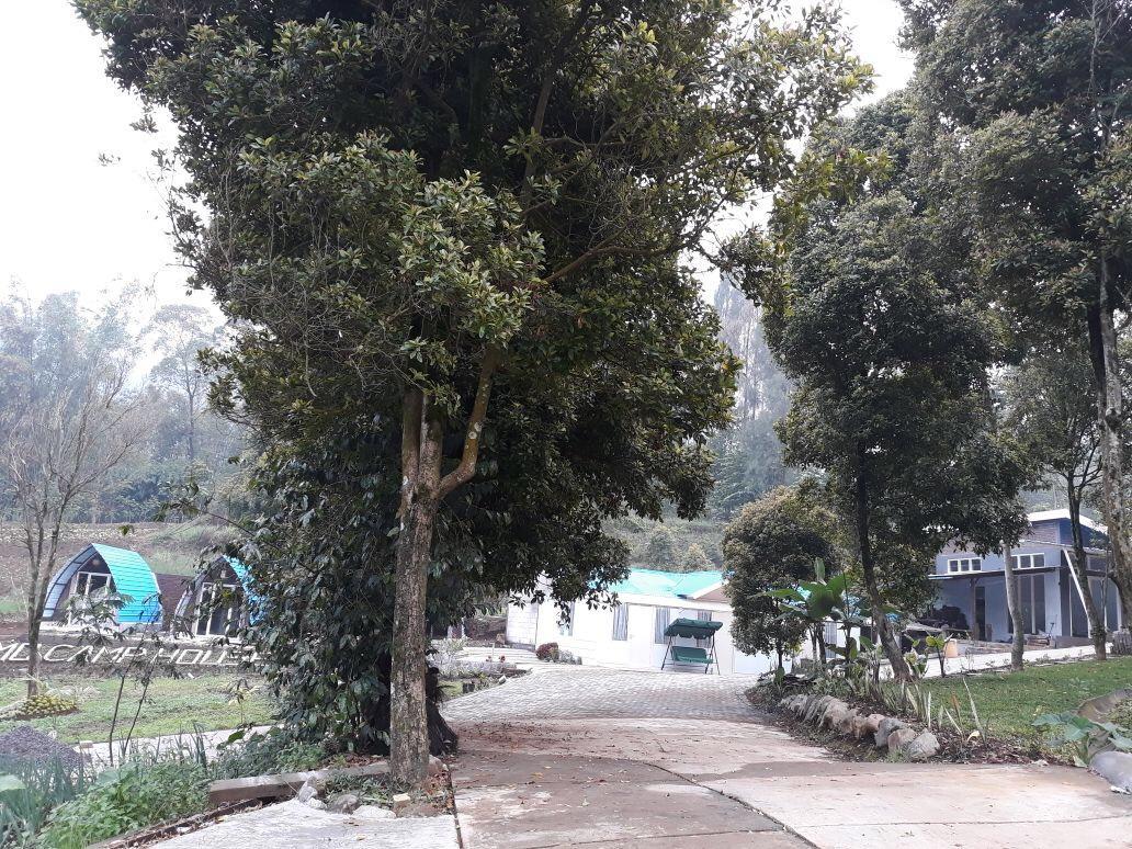 Camp House होटल Bromo